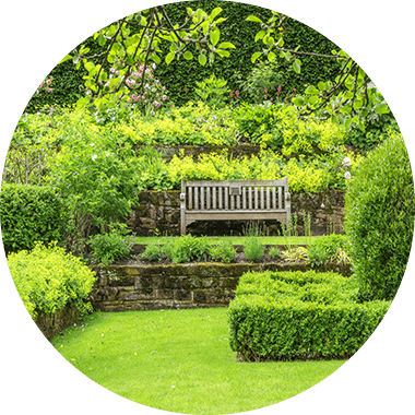 Bench in a green garden