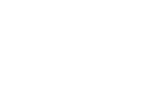 Wartenberg Cosulting logo