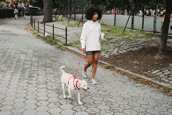 Woman walking her dog on sidewalk