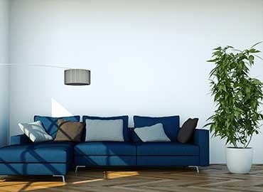 Living room with dark blue sofa and white walls
