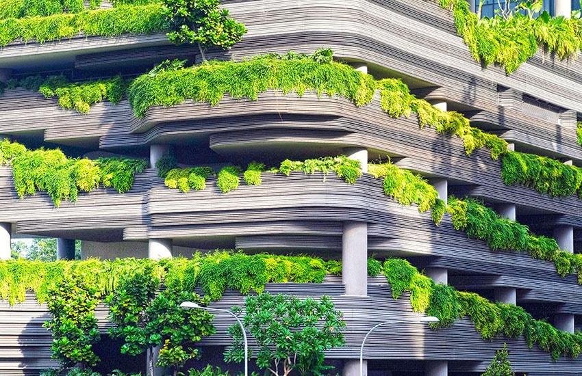 A tree-covered building